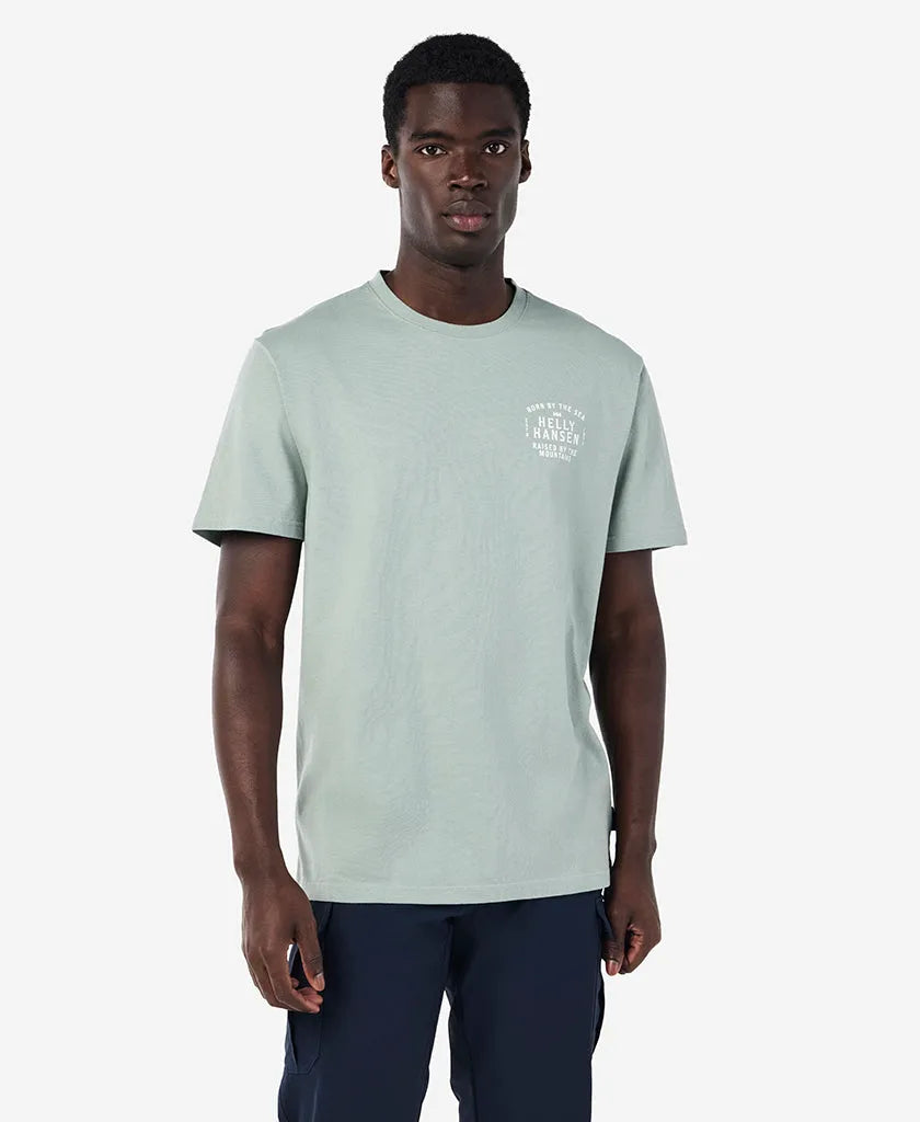 485 GREY CACTUS