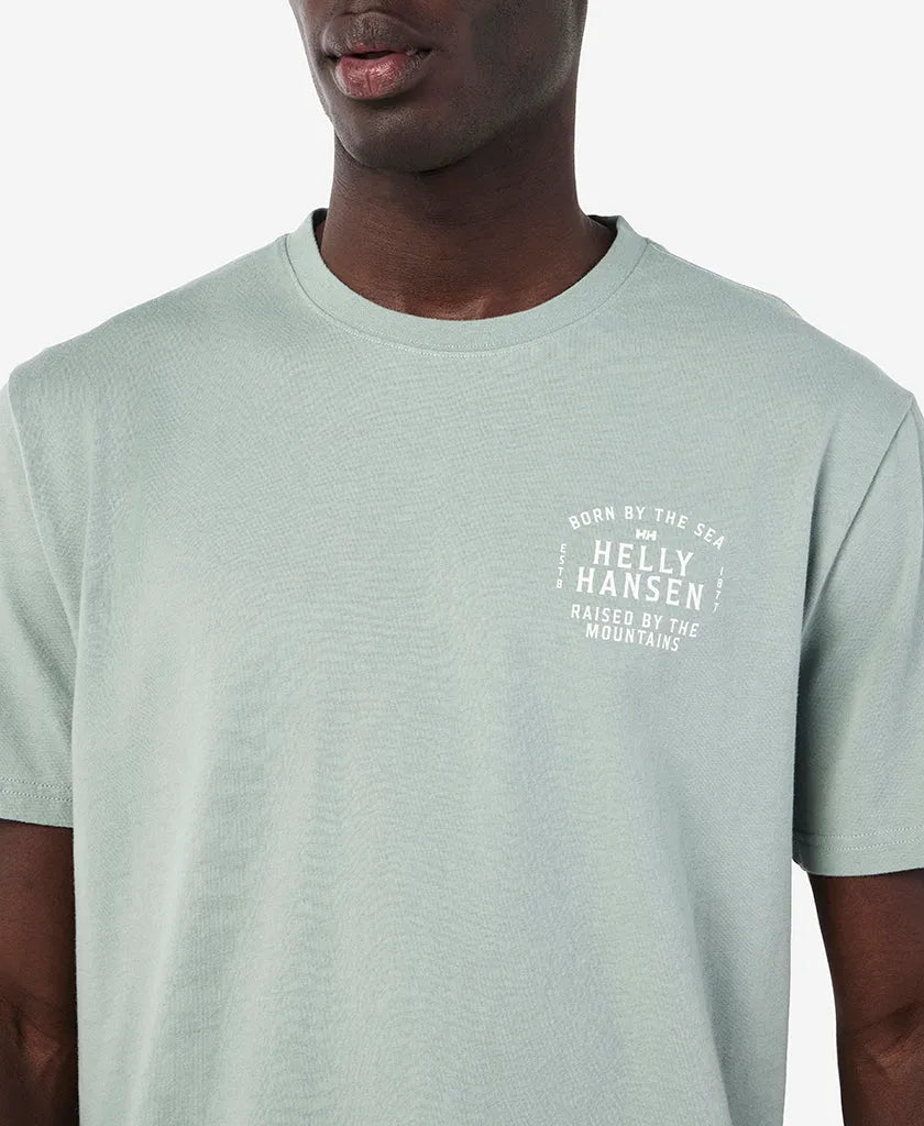 485 GREY CACTUS